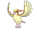ピジョット
