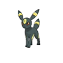 ブラッキー