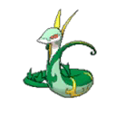 ジャローダ