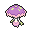 マシェード